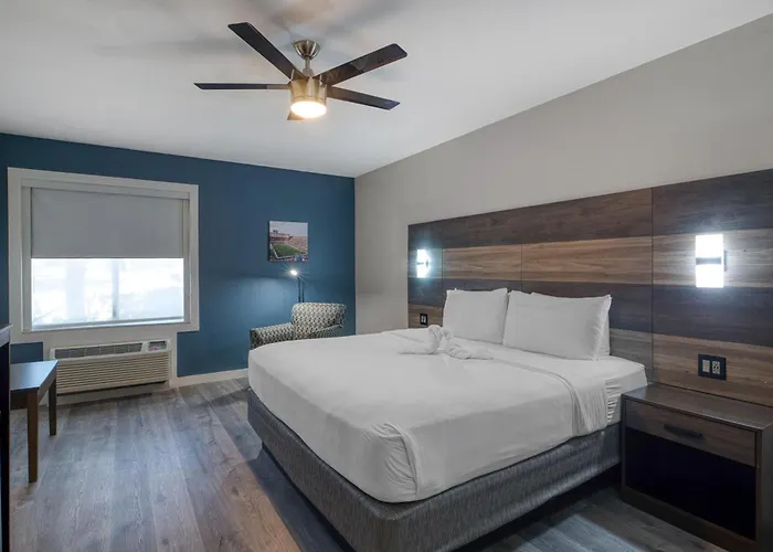 Pet Friendly hotel: Hom Hotel Gainesville, Surestay Collection By Best Western